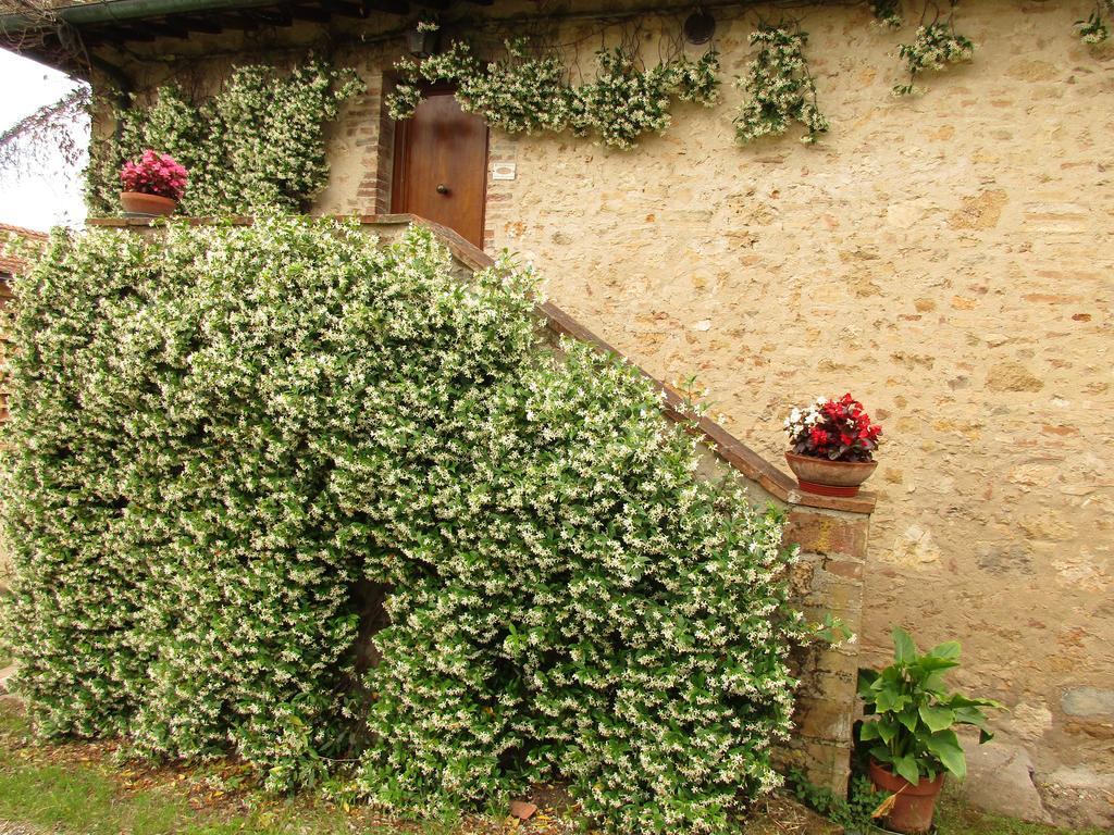 Agriturismo Podere Cappella San Gimignano Exterior foto